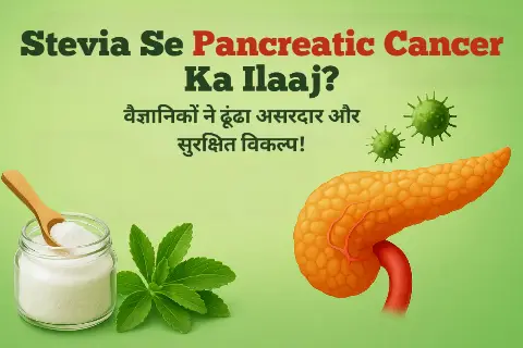 Stevia Se Pancreatic Cancer Ka Ilaaj? वैज्ञानिकों ने ढूंढा असरदार और सुरक्षित विकल्प!