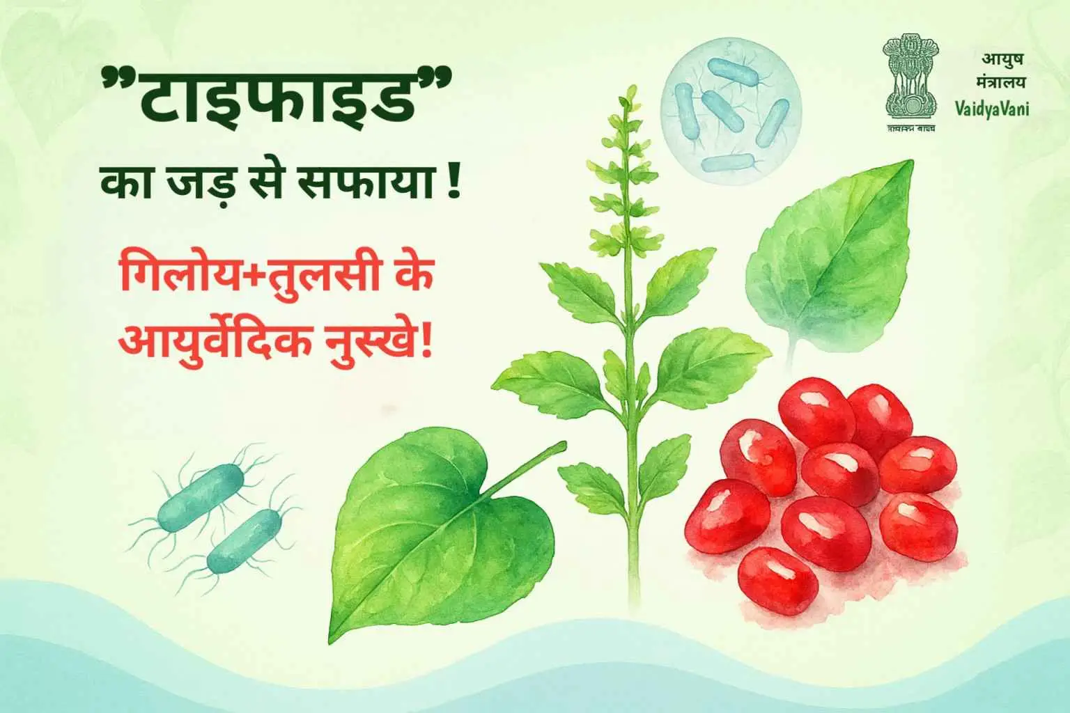 टाइफाइड का जड़ से सफाया! आयुर्वेद के 5 जबरदस्त घरेलू नुस्खे